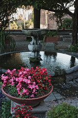 Roma, giardino della Chiesa di San Bonaventura