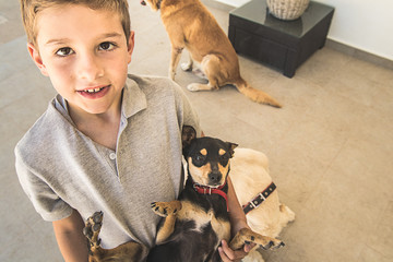 Child playing with dogs