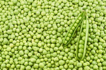 Fototapeta na wymiar Fresh young green peas healthy food