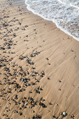 Pebbles to the beach