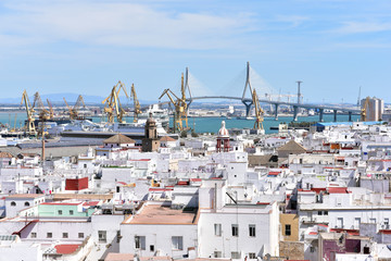 Overlooking Old center of Cadiz from the bell tower of the Santa Cruz Cathedral, Andalusia, Spain