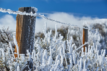Landscape with hoarfrost on the fence