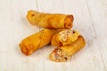 Appetizing spring rolls