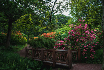 Fototapeta na wymiar A beautiful botanical garden