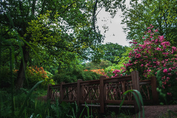 A beautiful botanical garden