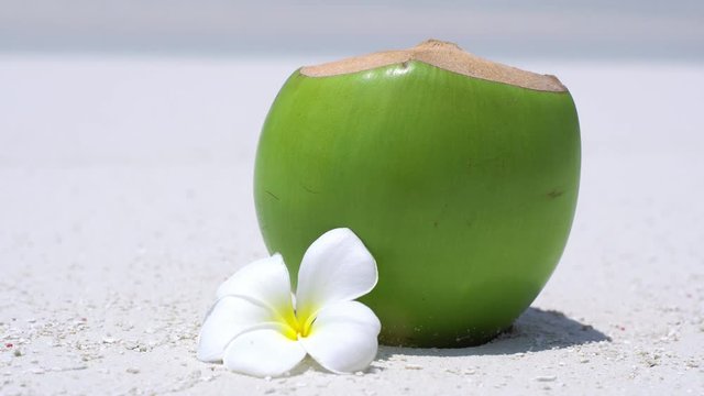 Fresh coconut juice decorated tropical plumeria flower on sandy beach