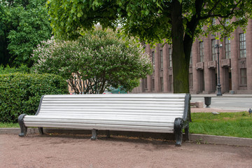 empty white wooden garden Bench under blossoming tree in city park. concept of place to relax