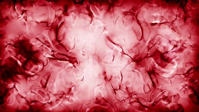 Blood inside body in microscopic scale
