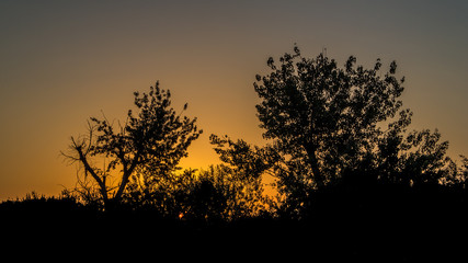 Sunset Sky And Silhouettes