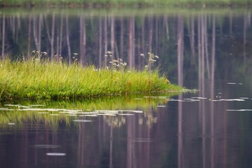 reflection