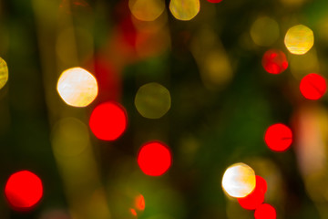 The christmas lights