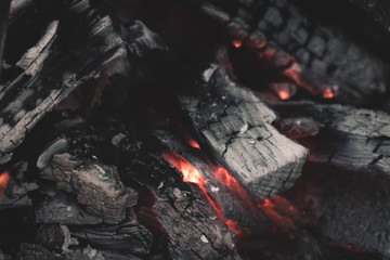 embers of a campfire. closeup