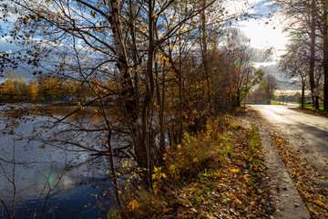 autumn