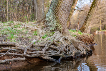 St.Petersburg, Russia
