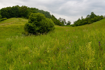 Pereslavl-Zalessky, Russia