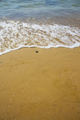 Soft wave of the sea on the sandy beach