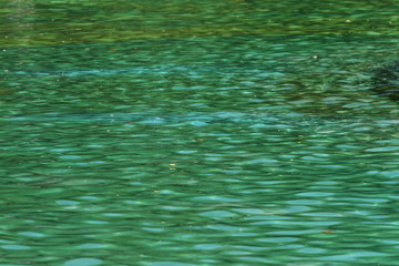 Water background. Surface of green Natural water. Aqua pattern. Rippled aqua texture. Waves in a water. 