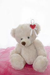 Soft baby toy bear on light background