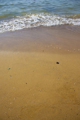 Soft wave of the sea on the sandy beach