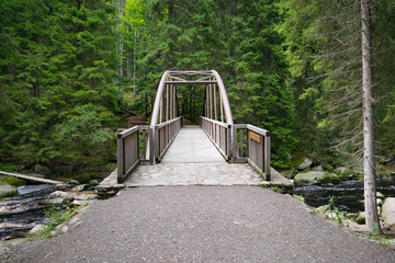 Forest wooden bridge raver crossing pine spruce Europe
