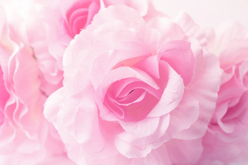 Fototapeta na wymiar Sweet color roses in soft style for background