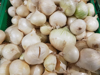 White ripe onions lie in the shop window
