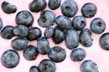 Yoghurt mit Blaubeeren