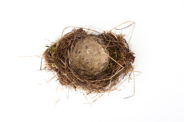 Obraz premium Bird Nest