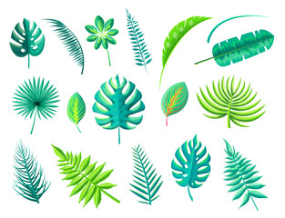 Tropical Foliage Collection Vector Illustration