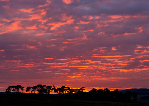 Red sky over silhouetted trees at sunset. Near Fontburn, Northumberland, England, UK.