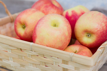 red juicy apples in a basket, fresh harvest