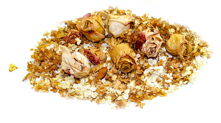 scattered petals of hydrangea and rose flowers  background