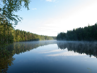 Fototapeta na wymiar Calm river in a forest
