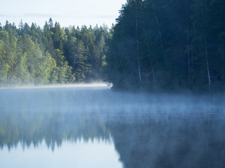Obraz na płótnie Canvas Calm river in a forest
