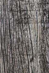 Old grungy wood planks background texture.