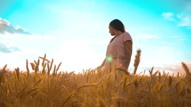 girl is walking along the wheat field nature slow motion video. beautiful girl in white dress running hands to the side on field at sunset nature freedom happiness light and the blue sky. girl wheat