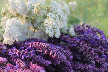 Festive Bouquet of flowers! beautiful wild flowers for a gift!