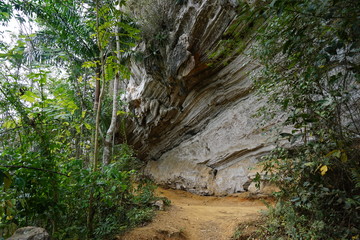 Felsformationen - Wanderweg im Regenwald auf Kuba bei Trinidad