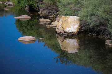Creek Reflections