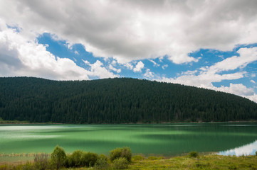 Crystal clean artificial lake near pine forest  in Romania, blue sky with white clouds .