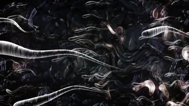 Molecular and organic scene in microscopic scale