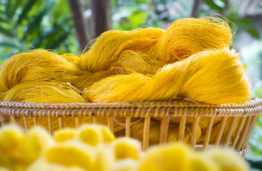Thai silk thread and cocoon pod of silkworms in bucket.