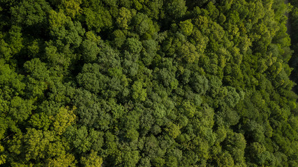 Obraz premium Russian Forest And Mountains Under Blue Sky By Aerial Drone. Stunning Aerial Drone Stock Footage of South russian Forest And Mountains Under Blue Sky