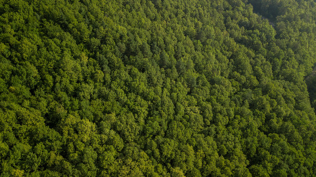 Russian Forest And Mountains Under Blue Sky By Aerial Drone. Stunning Aerial Drone Stock Footage of South russian Forest And Mountains Under Blue Sky © Quatrox Production