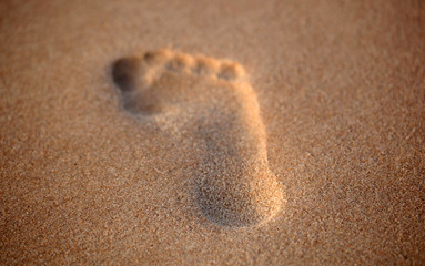 Fototapeta na wymiar foot print on a bright sunny beach - macro photography on atlantic coastlin