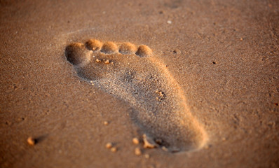foot print on a bright sunny beach - macro photography on atlantic coastline
