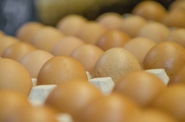 chicken eggs in trays on the counter in the market