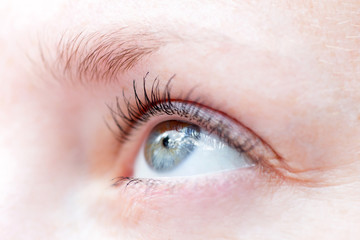 Fototapeta na wymiar Natural eyelashes with mascara, closeup