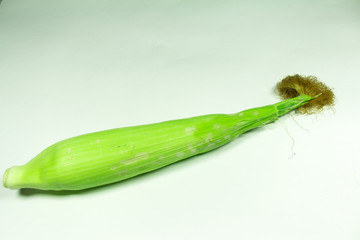 Corn on white background