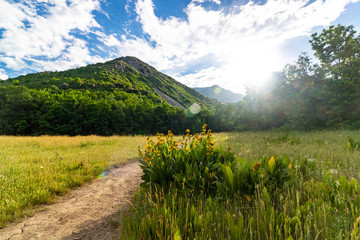 Fototapeta premium Trail through Utah meadow with wildflowers and beautiful mountain views